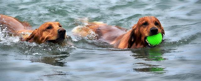 swimming